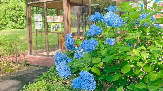 茶店